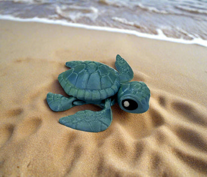 Sea Turtles