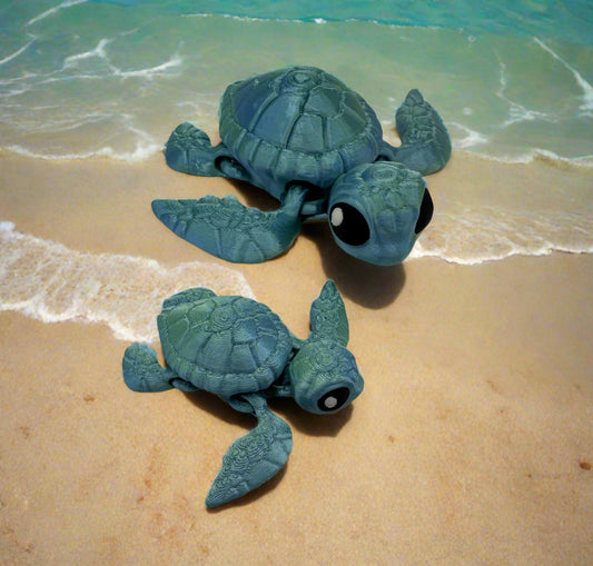 Sea Turtles