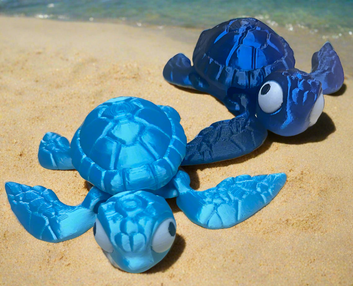 Sea Turtles